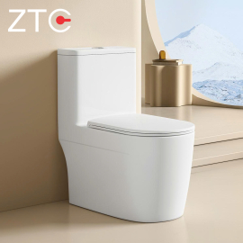 Bàn cầu 1 khối không ZTC-2201