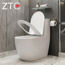 Bàn cầu 1 khối không viền Rimless Toilet ZTC-2926